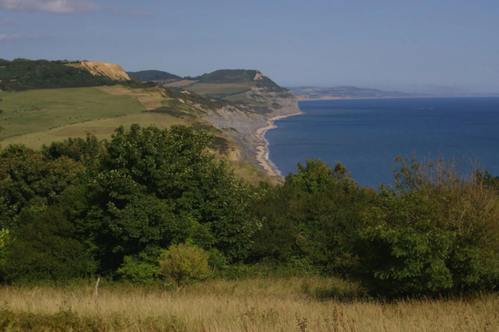 An image depicting the trail Seatown and Golden Cap Loop and its surrounding area.