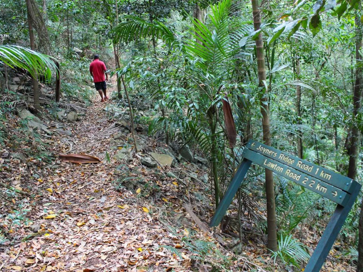 An image depicting the trail Westside Track and its surrounding area.