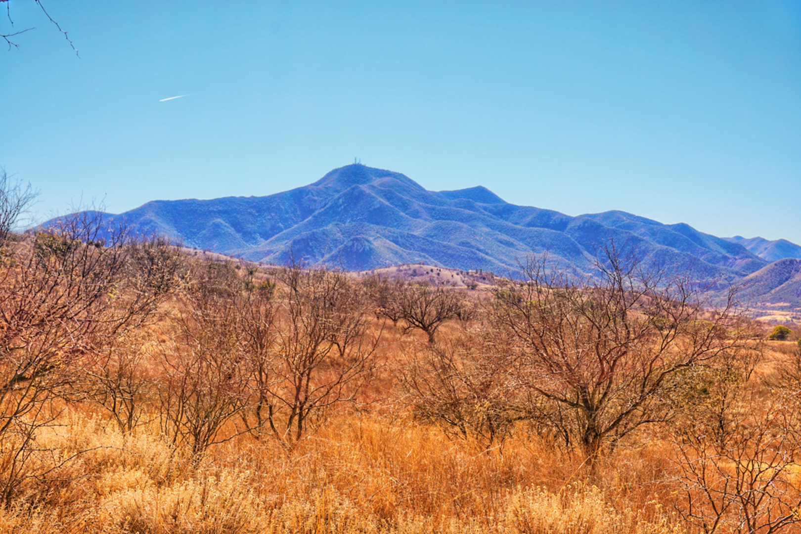 An image depicting the trail Josephine Saddle via Agua Caliente Trail and its surrounding area.