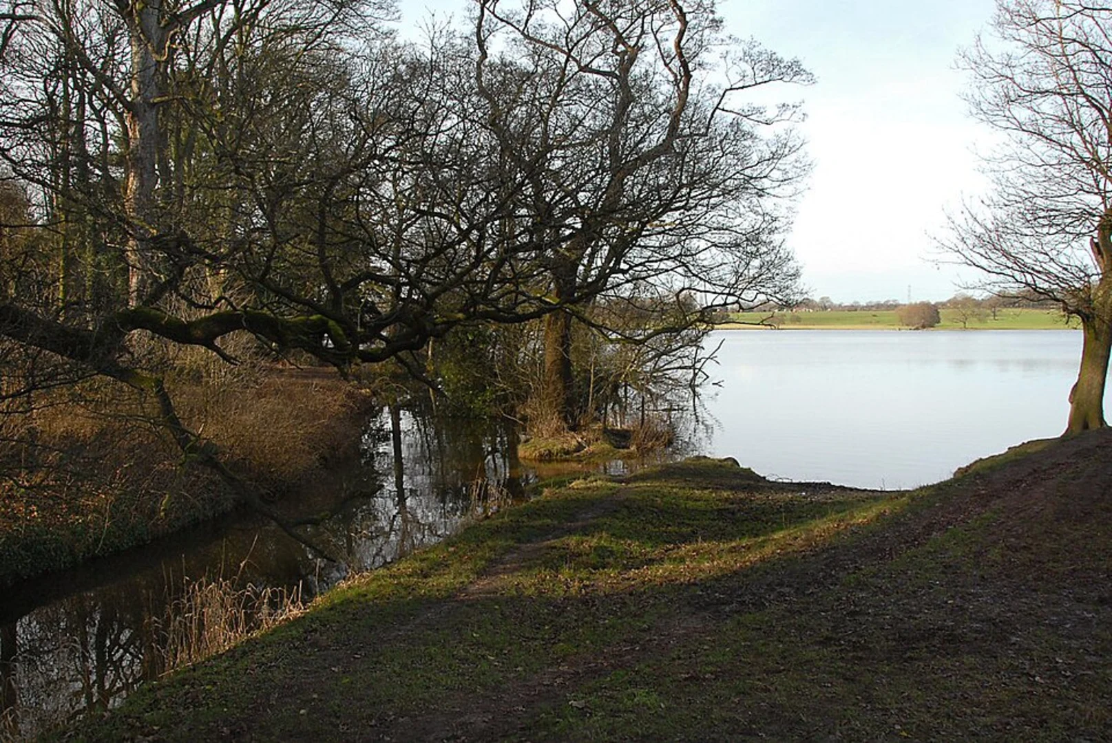 An image depicting the trail Marbury Country Park and Arboretum Loop and its surrounding area.