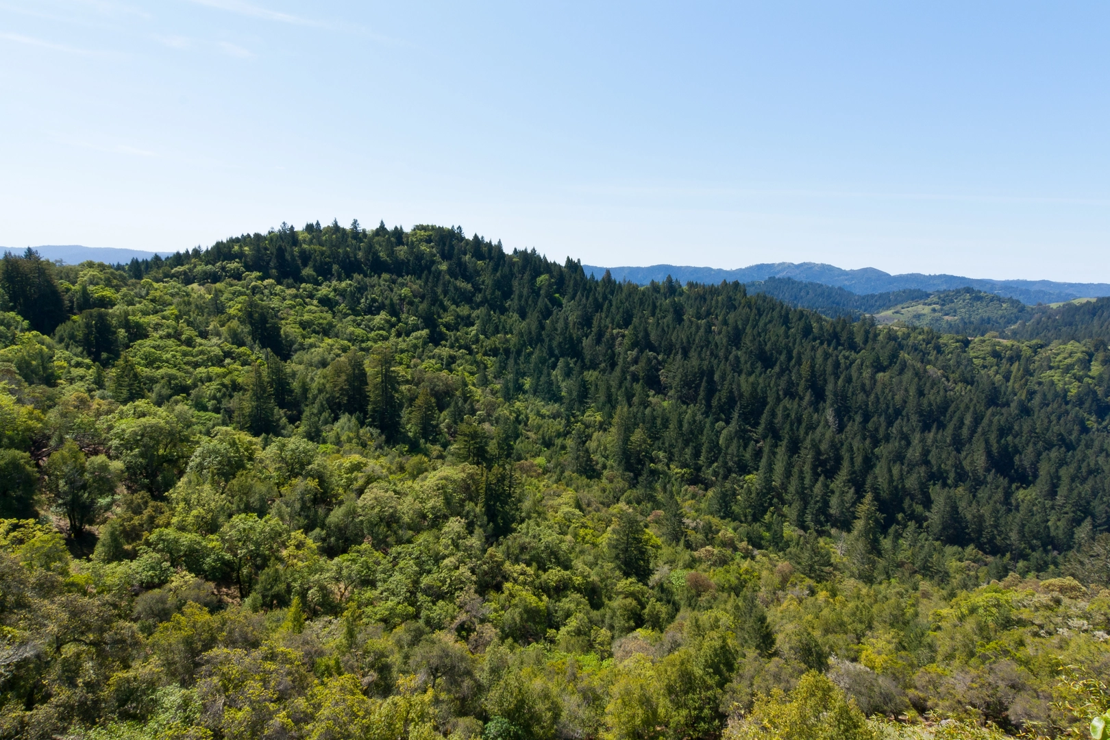 An image depicting the trail East Ridge and Pool Ridge Loop Trail and its surrounding area.