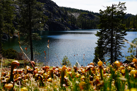 An image depicting the trail Kangaroo Lake Trail and its surrounding area.