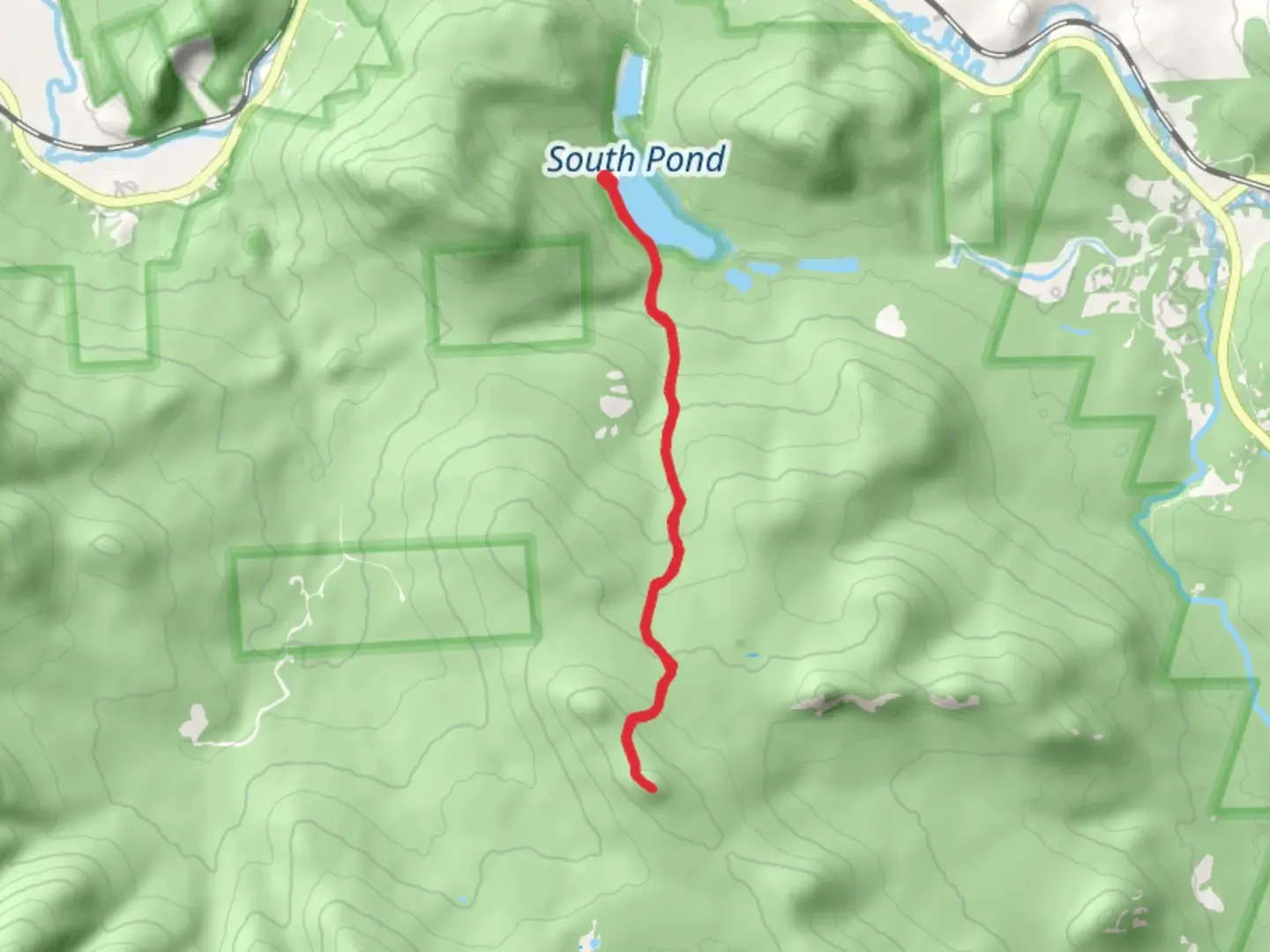 An image depicting the trail Rogers Ledge via Cohos Trail and its surrounding area.