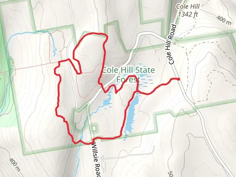 Ski Trail - 4 and Long Path Loop