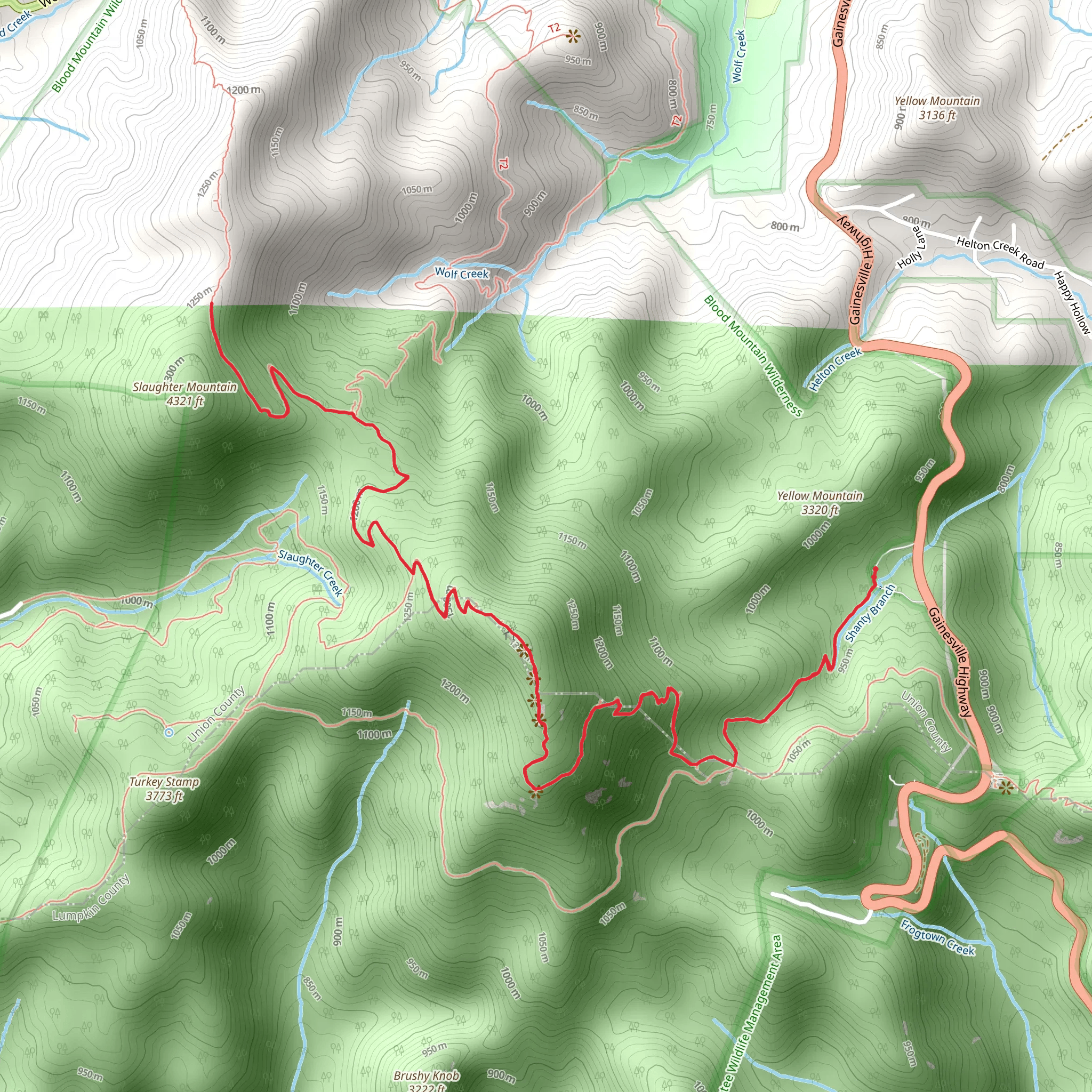 Blood Mountain and Duncan Ridge via Byron Herbert Reece mobile static map