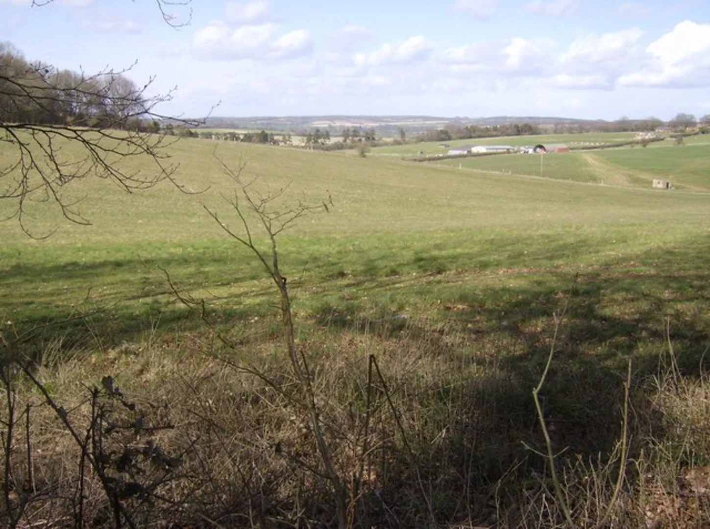 An image depicting the trail Wield Wood, Godsfield Copse and Peewit Lake and its surrounding area.