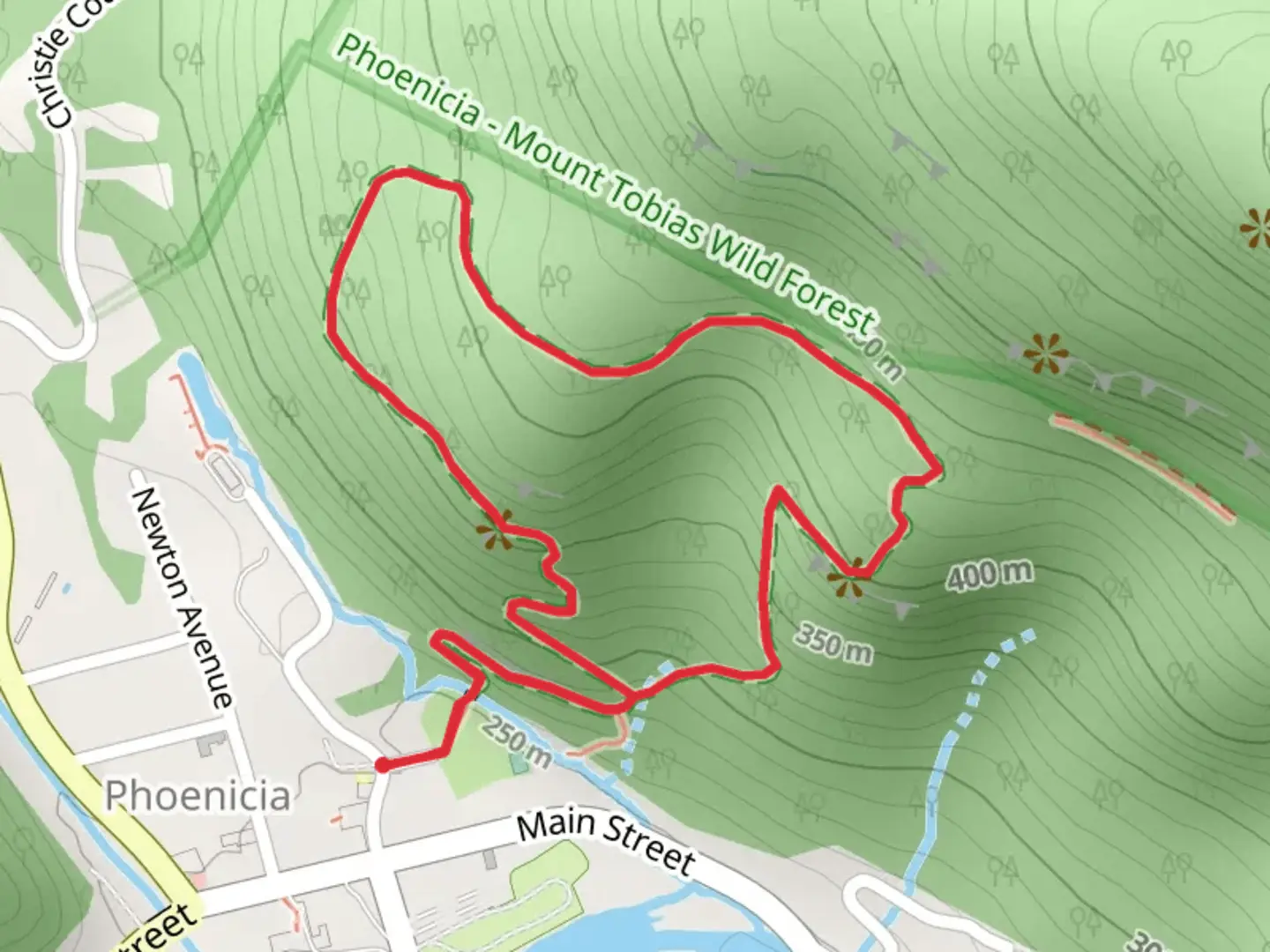 An image depicting the trail Tanbark Trail - Phoenicia Park and its surrounding area.