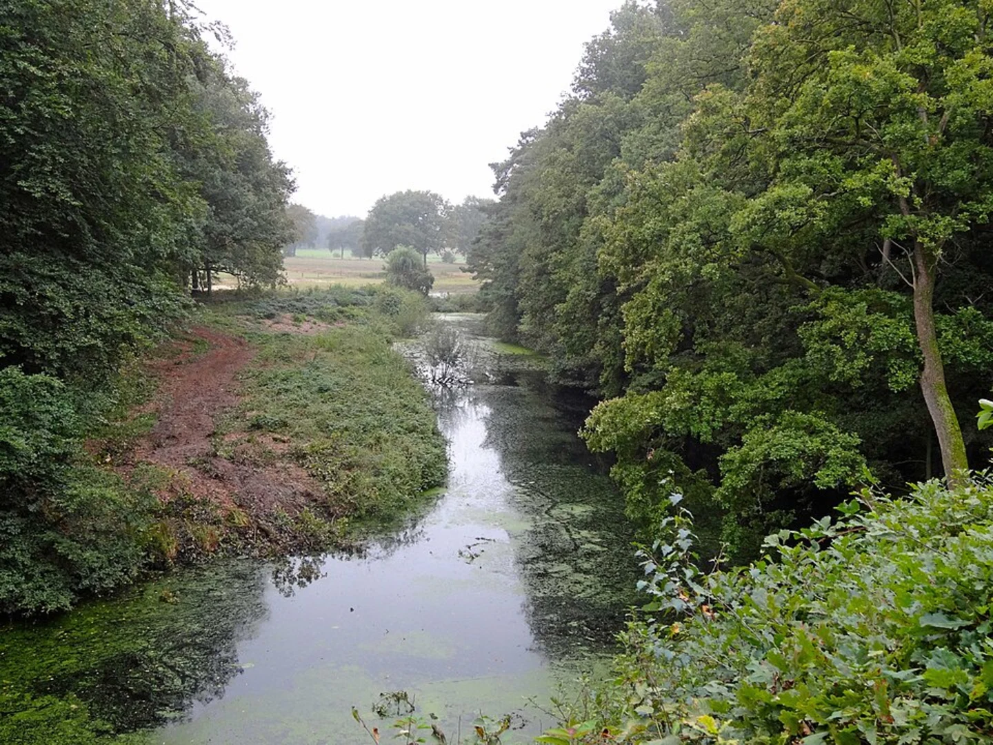 An image depicting the trail Stapelberg and Archemerbrug via Wolters Weg and Mars Weg and its surrounding area.