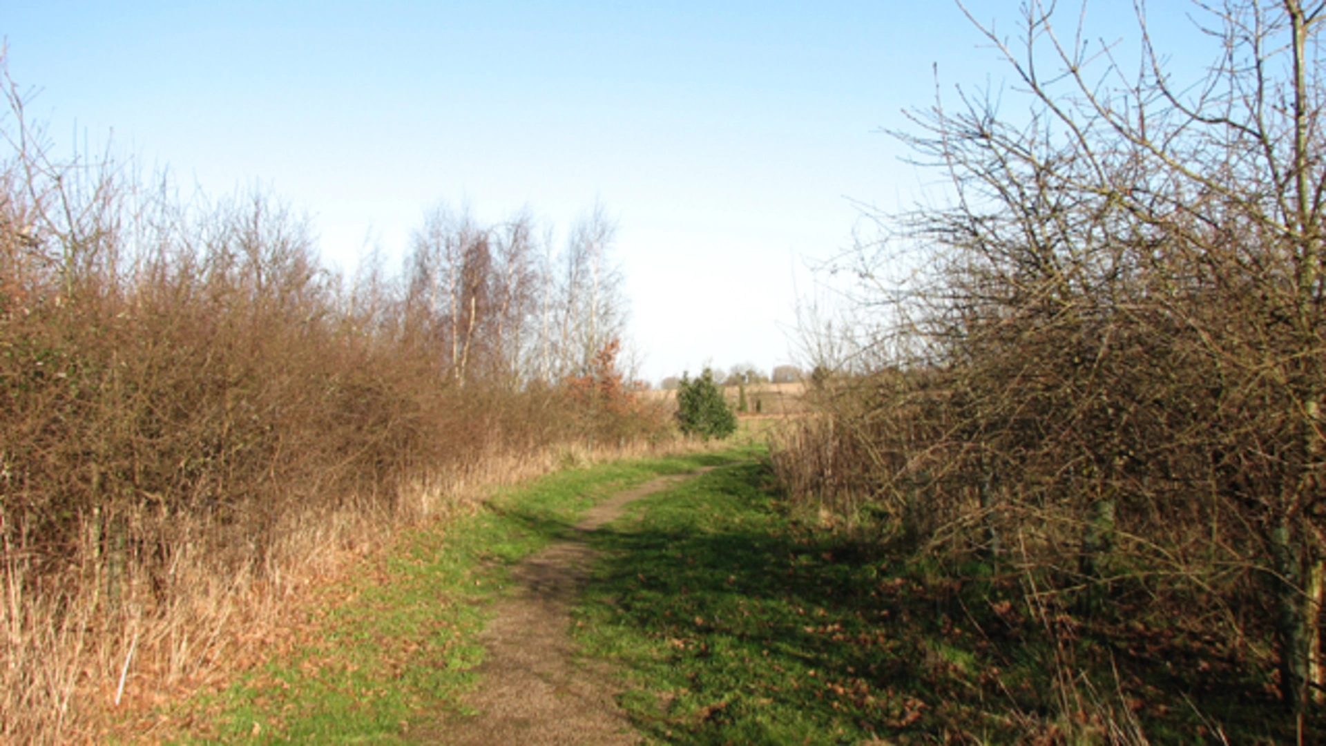An image depicting the trail Bell's Close and Jubilee Wood Loop and its surrounding area.