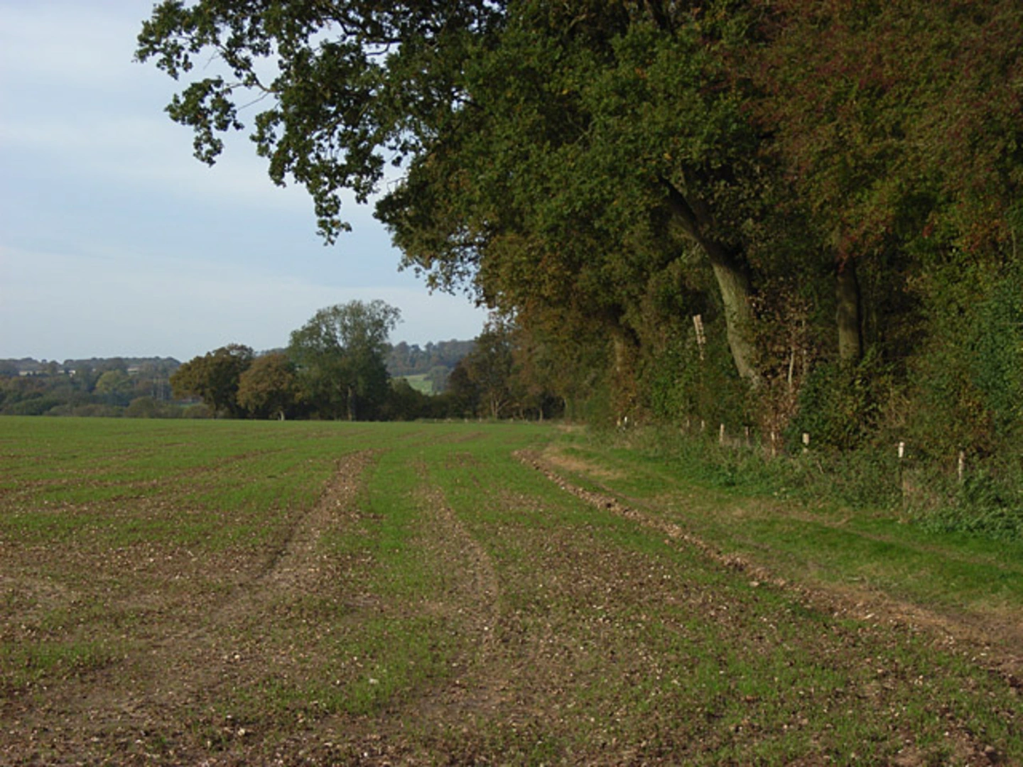 An image depicting the trail Great Lodge Copse and Big Wood and its surrounding area.