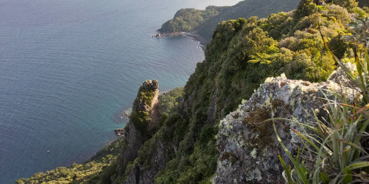 Te Whara and Mount Lion Track