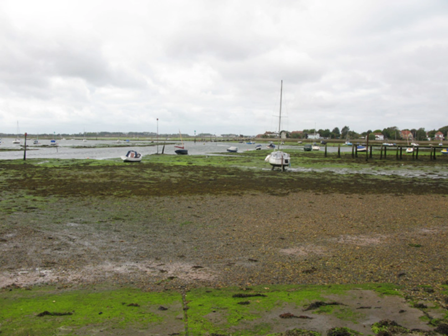 An image depicting the trail Warblington Church and Emsworth Harbour Loop and its surrounding area.