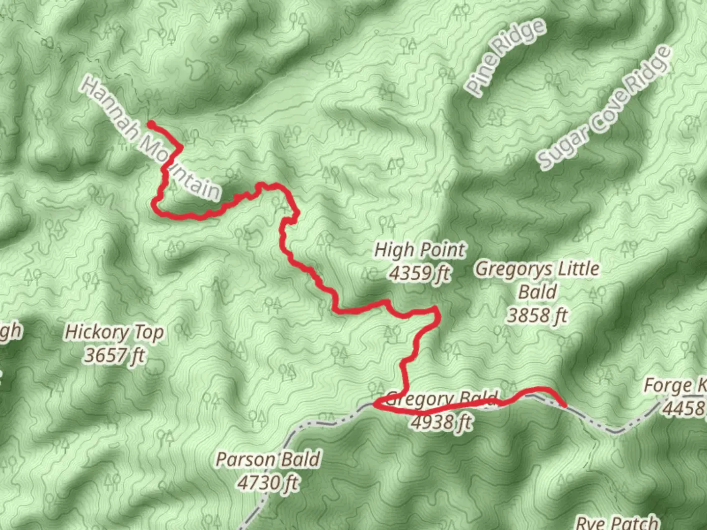 An image depicting the trail Rich Gap, Gregory Bald via Gregory Bald Trail and its surrounding area.