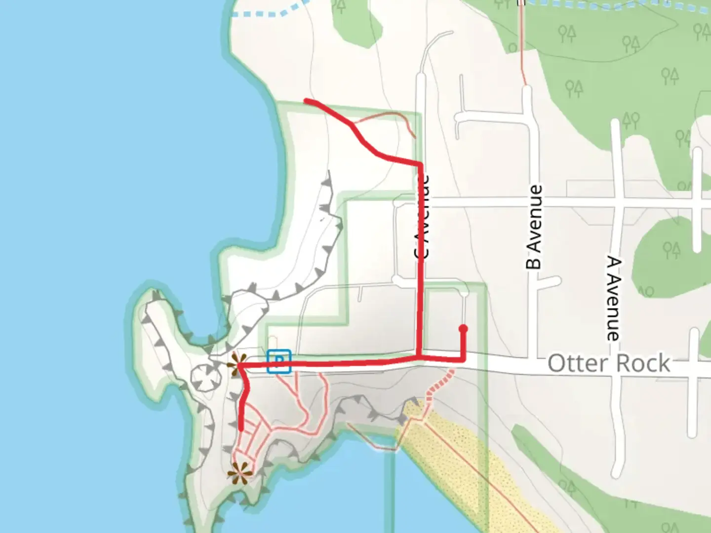 An image depicting the trail Devil's Punchbowl and Otter Crest Beach and its surrounding area.