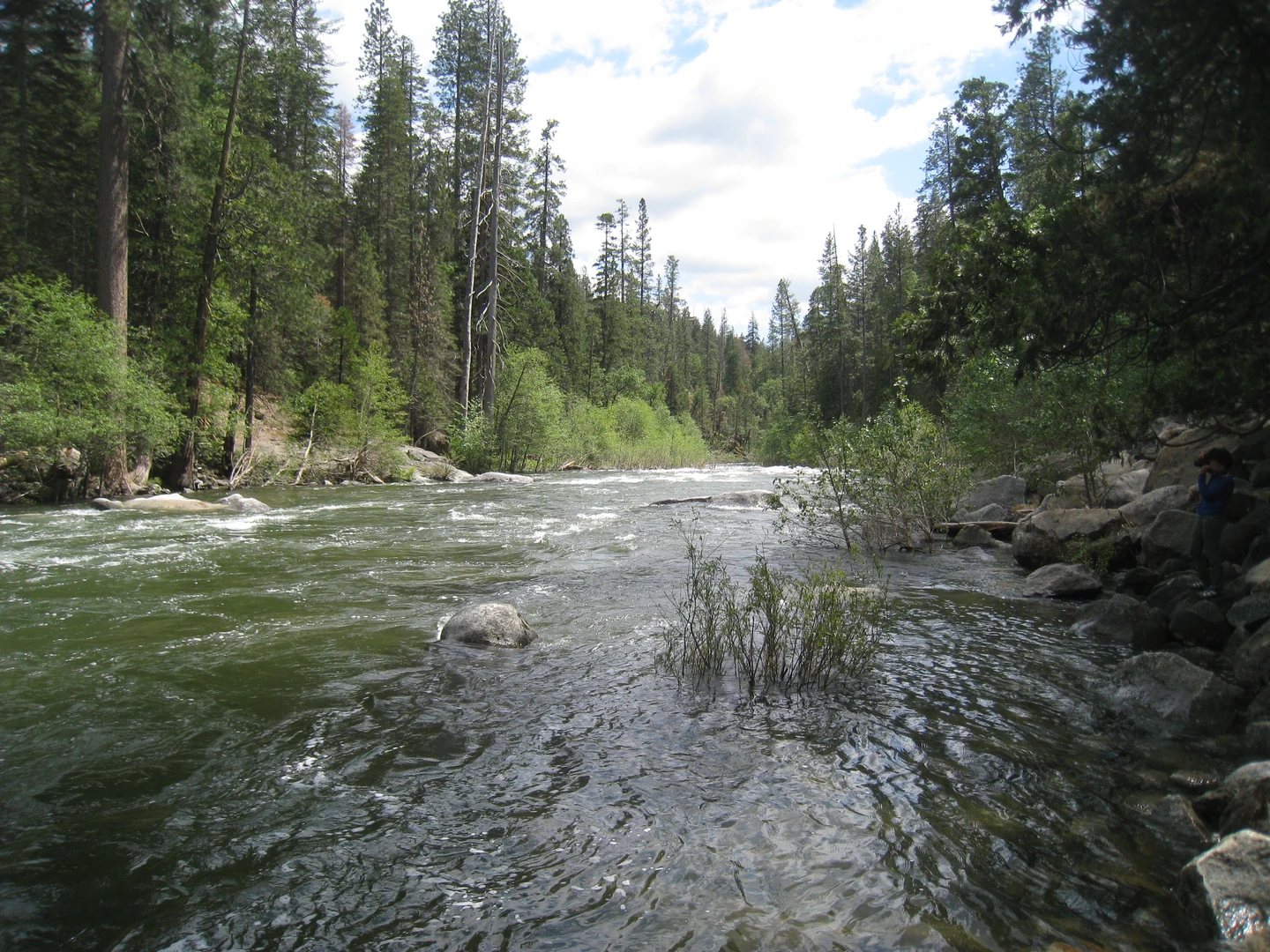 An image depicting the trail North Fork Stanislaus River and its surrounding area.