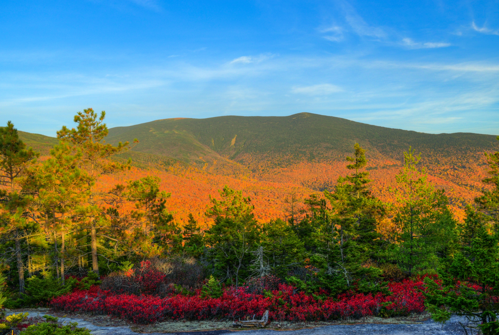 An image depicting the trail Blueberry Mountain Trail and its surrounding area.