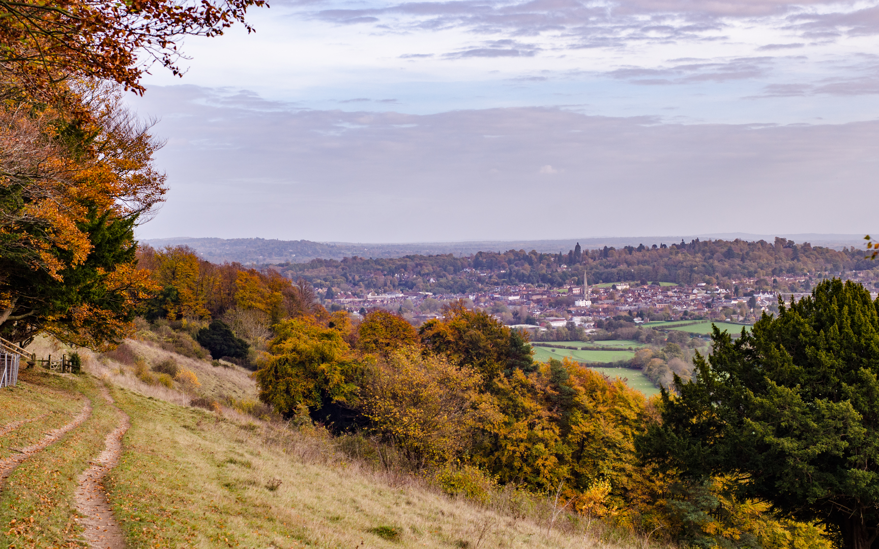An image depicting the trail Ranmore Common Circular near Dorking and its surrounding area.