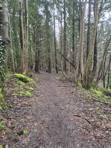 Hampton arm towards world's end down to llangollen and across llangollen Canal Loop