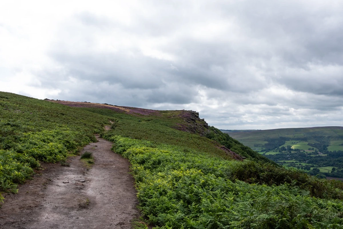 Bole Hill, Bamford Moor and Moscar Moor Loop