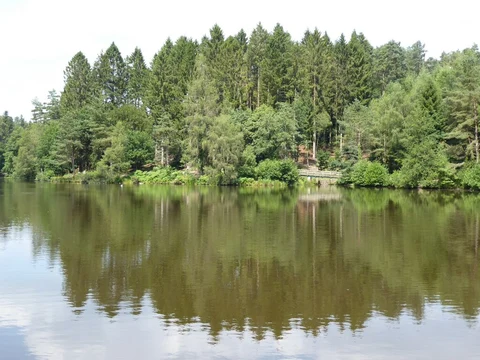 An image depicting the trail Mallards Pike and Russell's Inclosure Loop and its surrounding area.