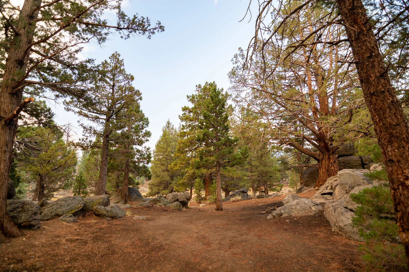 An image depicting the trail Sherman Pass and Sherman Peak Trail and its surrounding area.