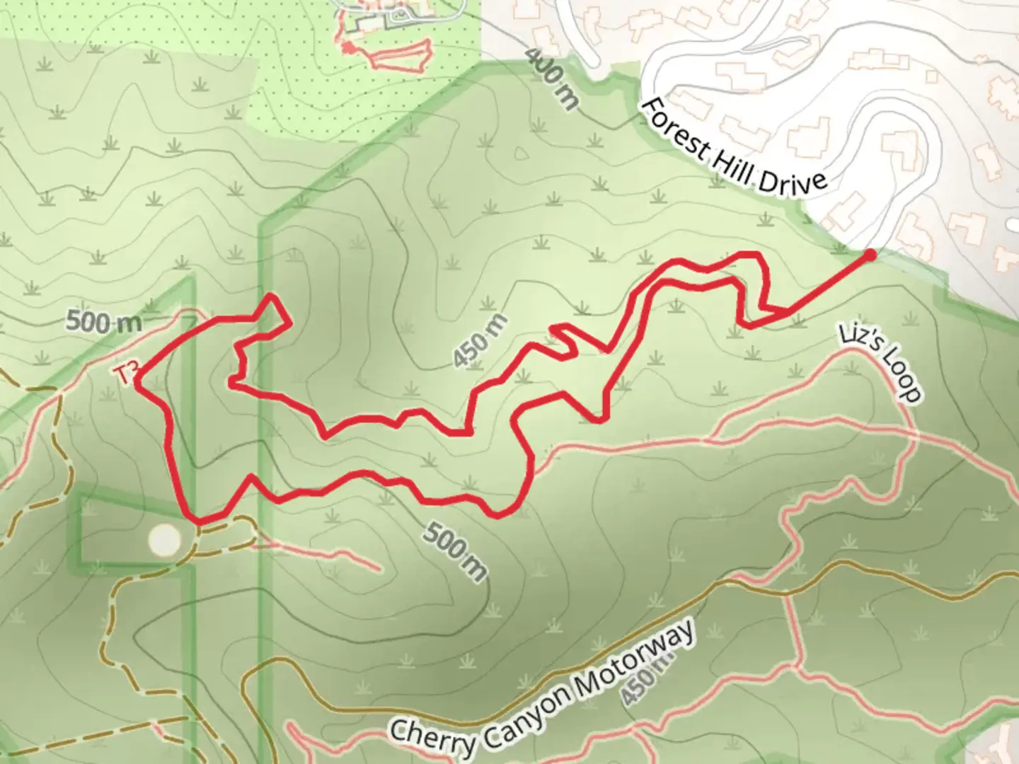 An image depicting the trail Forest Hill Edison Road - Conservancy Loop Trail and its surrounding area.