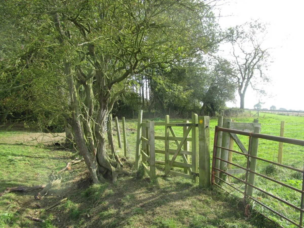 Market Weighton to Mellington Walk