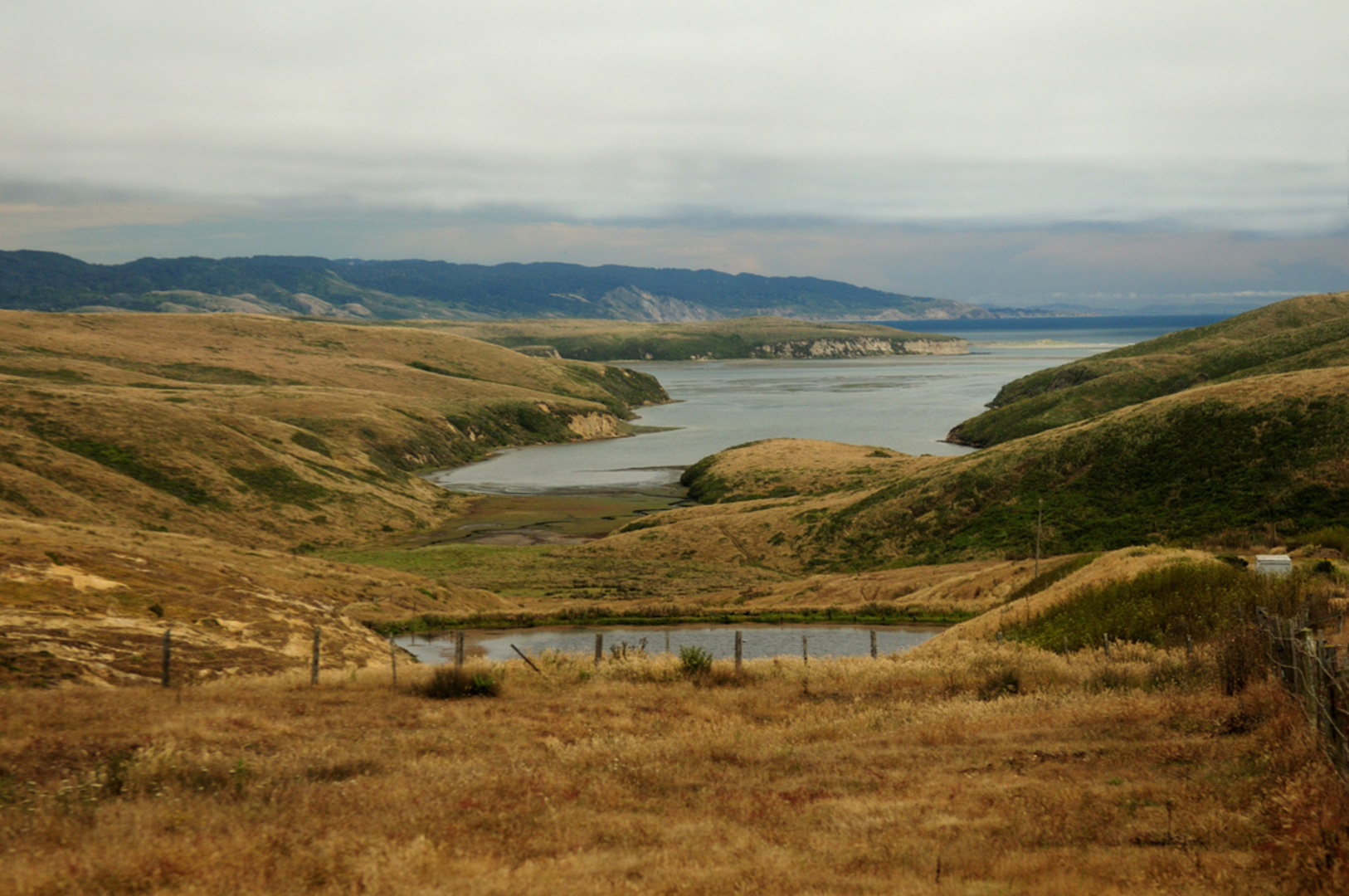 An image depicting the trail Bull Point Trail and its surrounding area.