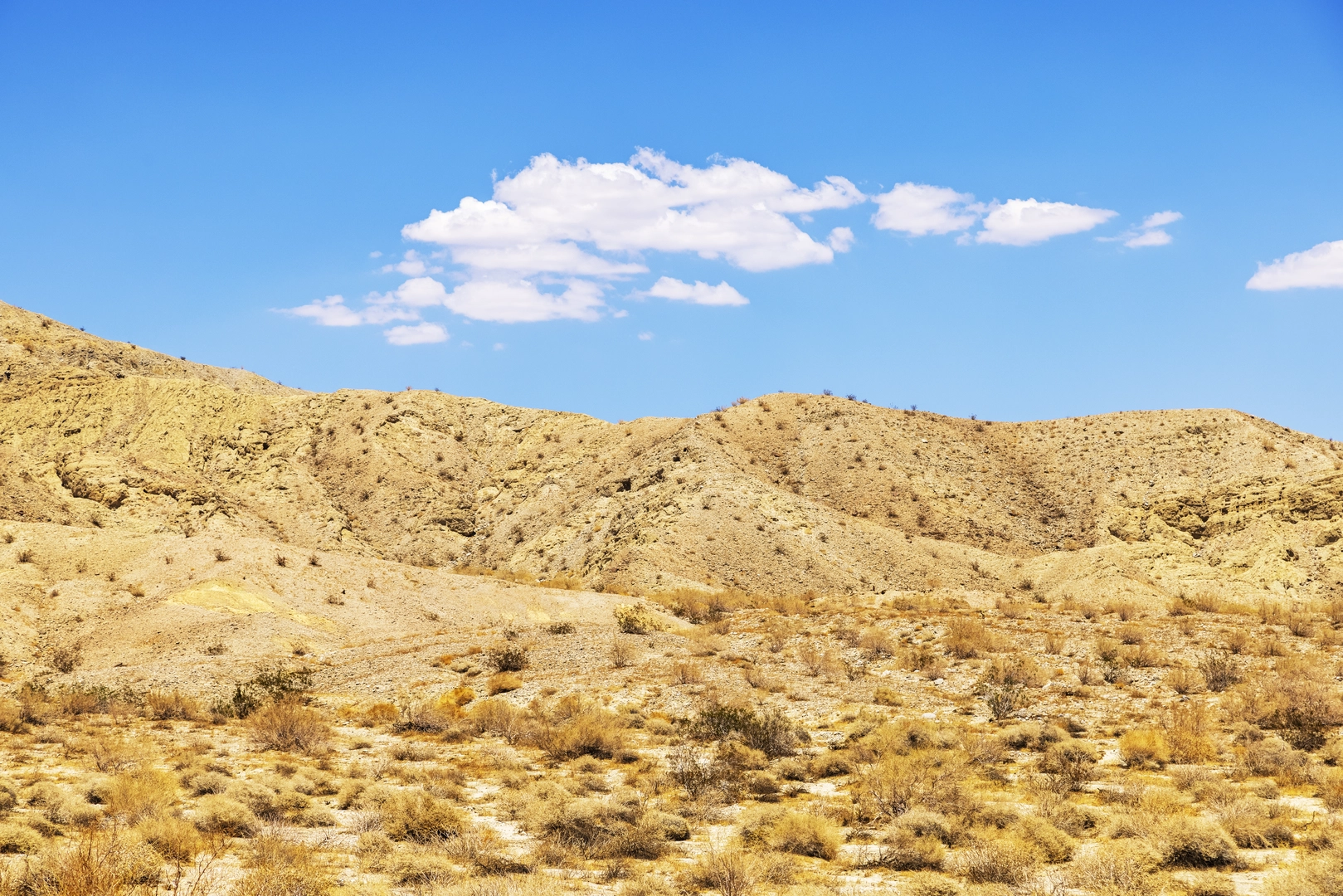 An image depicting the trail Hopalong Cassidy Trail and Herb Jeffries Loop Trail and its surrounding area.