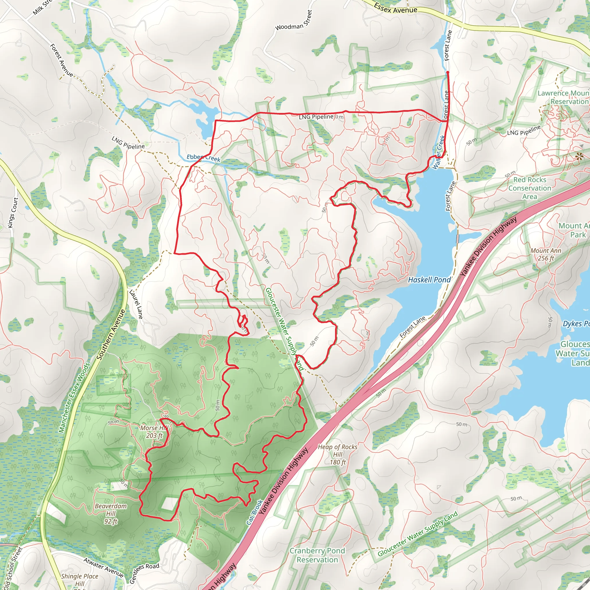 Morse Hill and Haskell Pond Loop via Stupid Trail mobile static map