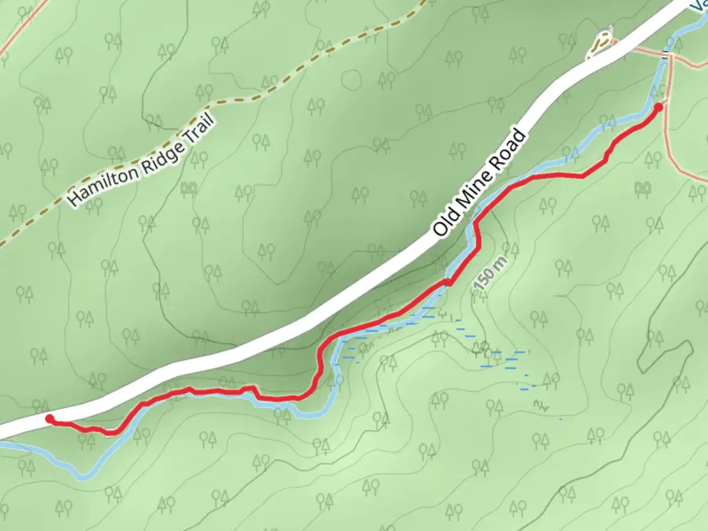 An image depicting the trail Van Campens Glen Trail - Short and its surrounding area.