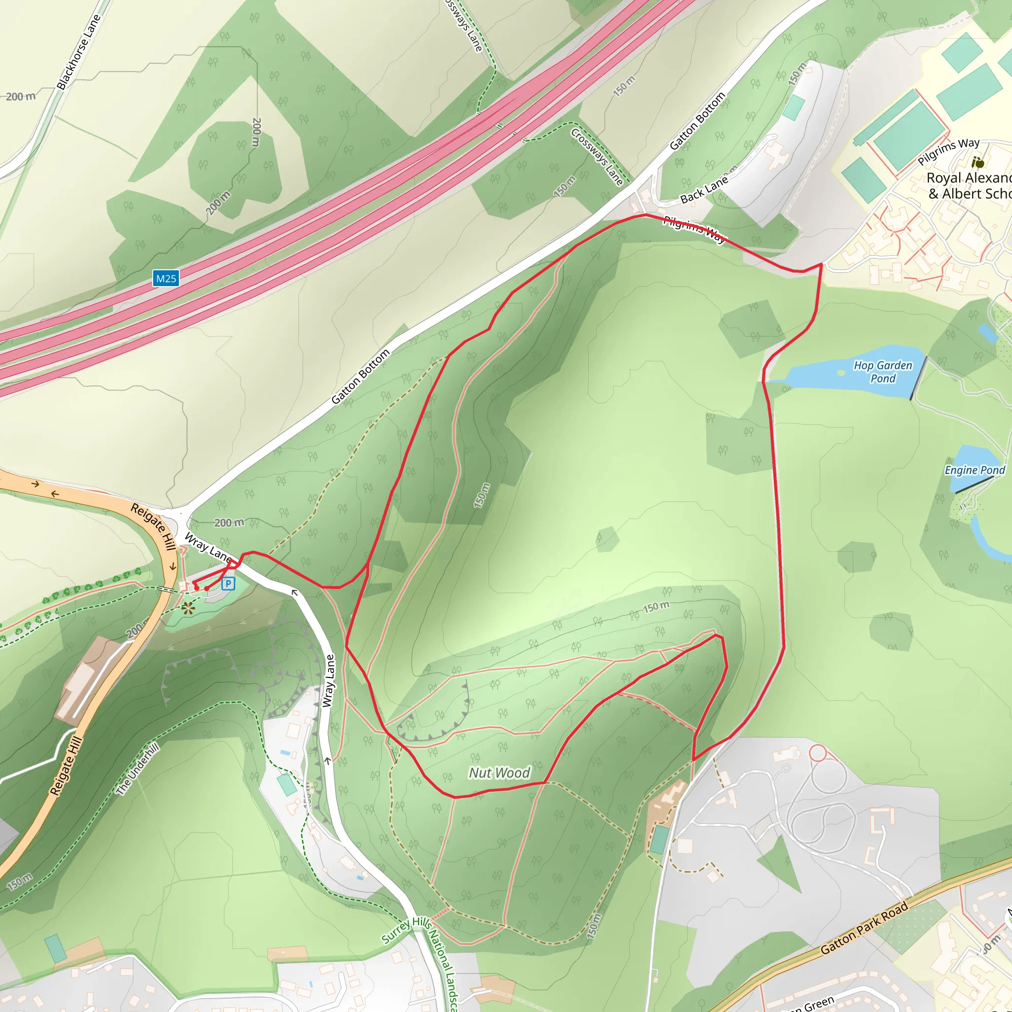 Gatton Park and Nut Wood Loop mobile static map