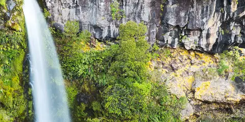 An image depicting the trail Dawson Falls Lodge to Plateau and its surrounding area.
