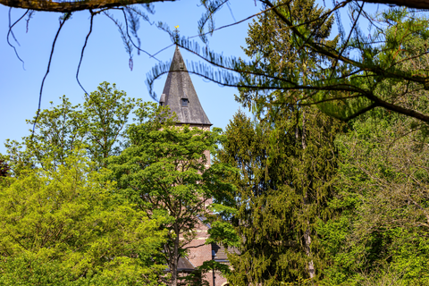 Abdijbossen, Wilderbissen and Stoppelbergen Loop