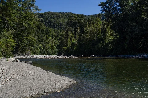 Norbett Creek to Eastern Hutt River Establishment