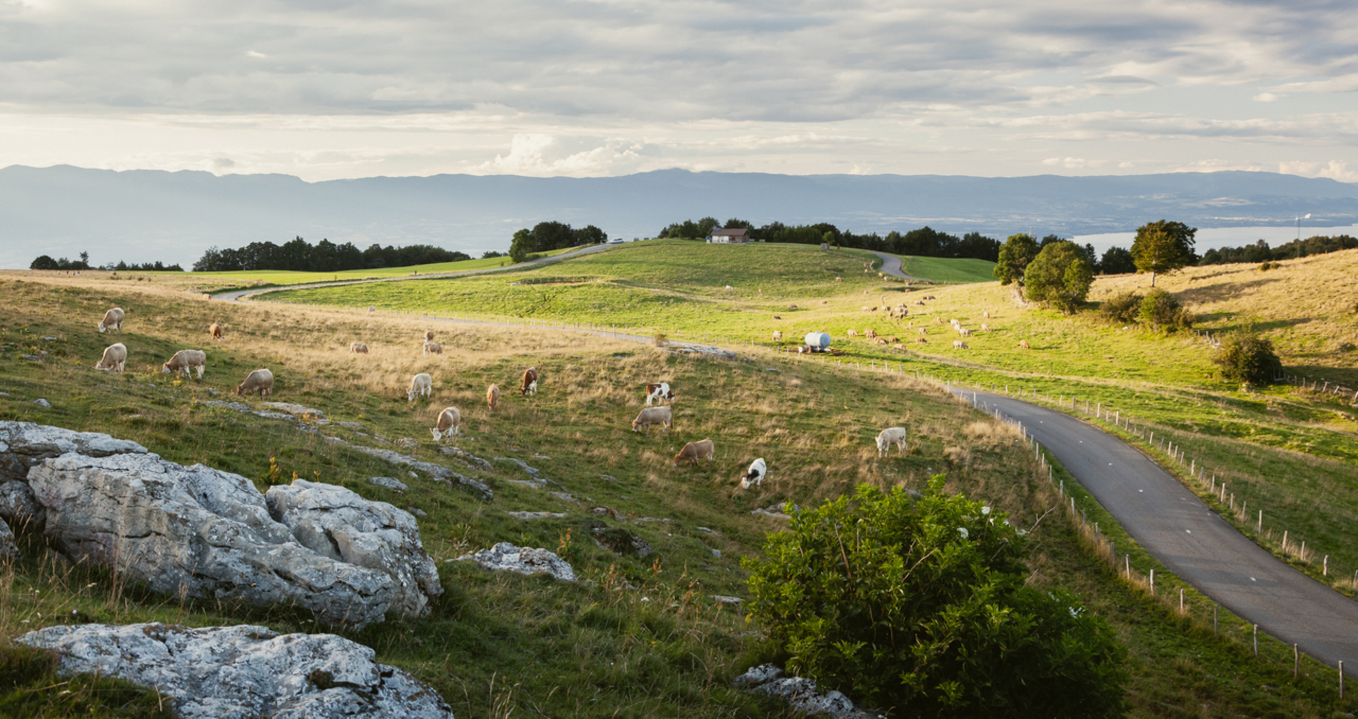 An image depicting the trail Sentier du Salève and its surrounding area.