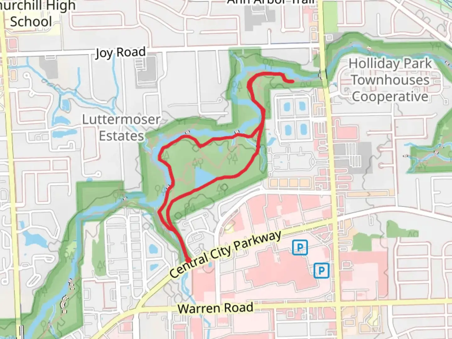 An image depicting the trail Wildflower - Cowan - Tonquish Loop TrailLoop and its surrounding area.