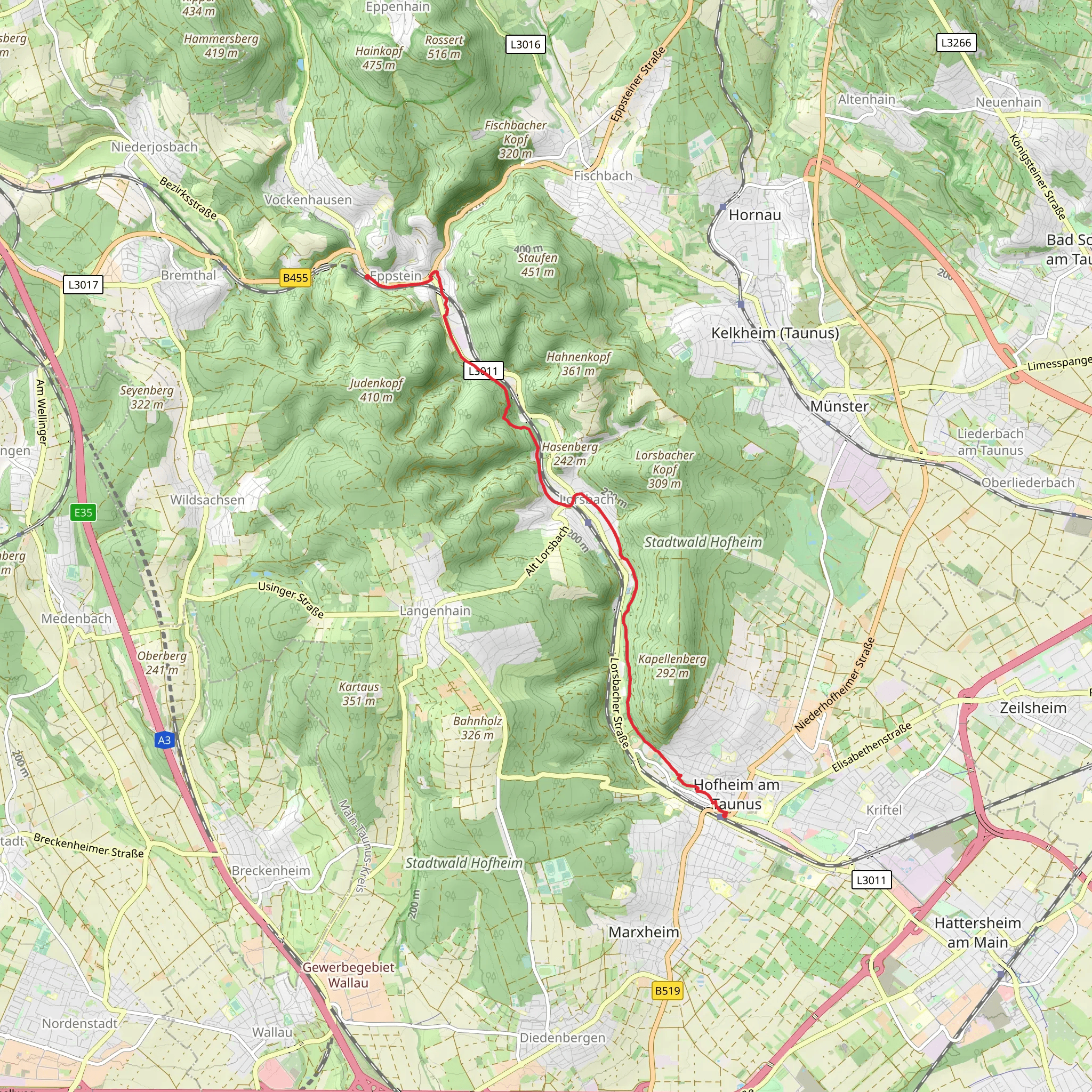 Hofheim to Eppstein Walk mobile static map