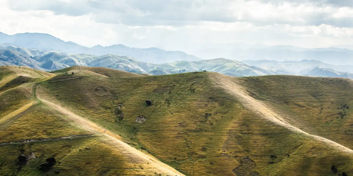 Mount Vernon Farm and Valley Track Loop