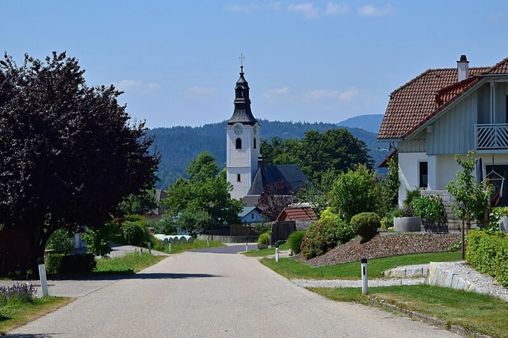 An image depicting the trail Steep Step Path and its surrounding area.