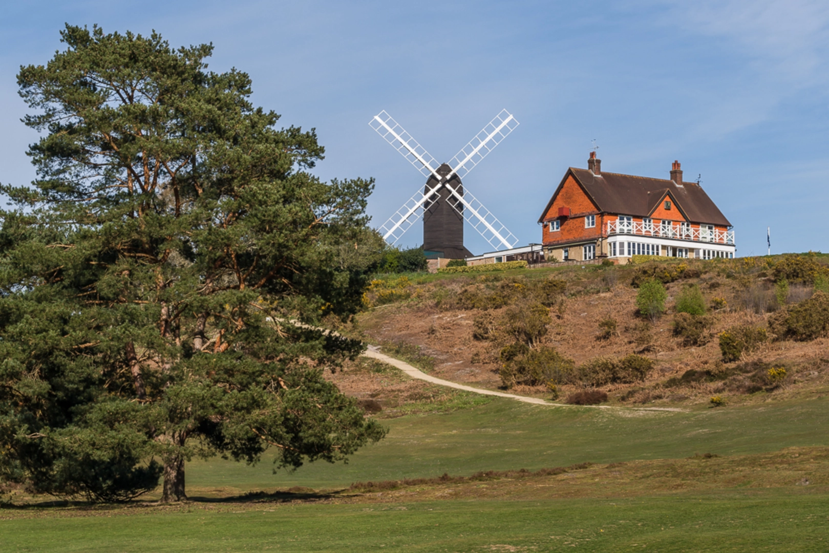 An image depicting the trail Brockham and Betchworth Loop via Reigate Heath and its surrounding area.