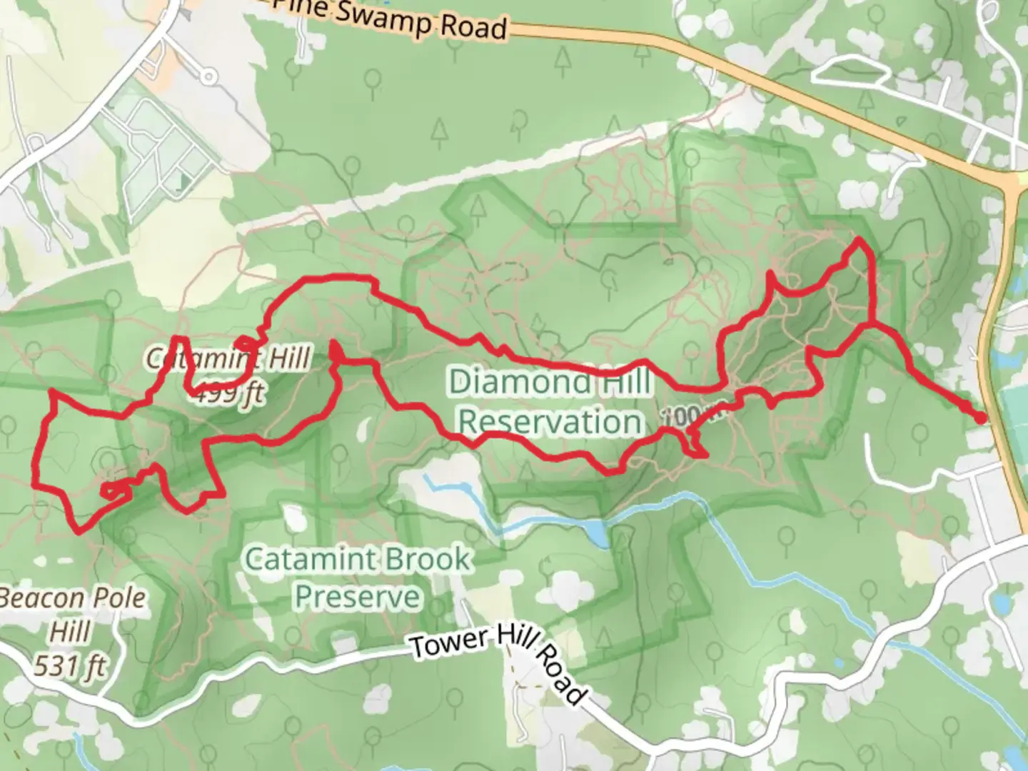 An image depicting the trail Catamint Hill in Diamond Hill Reservation Loop and its surrounding area.