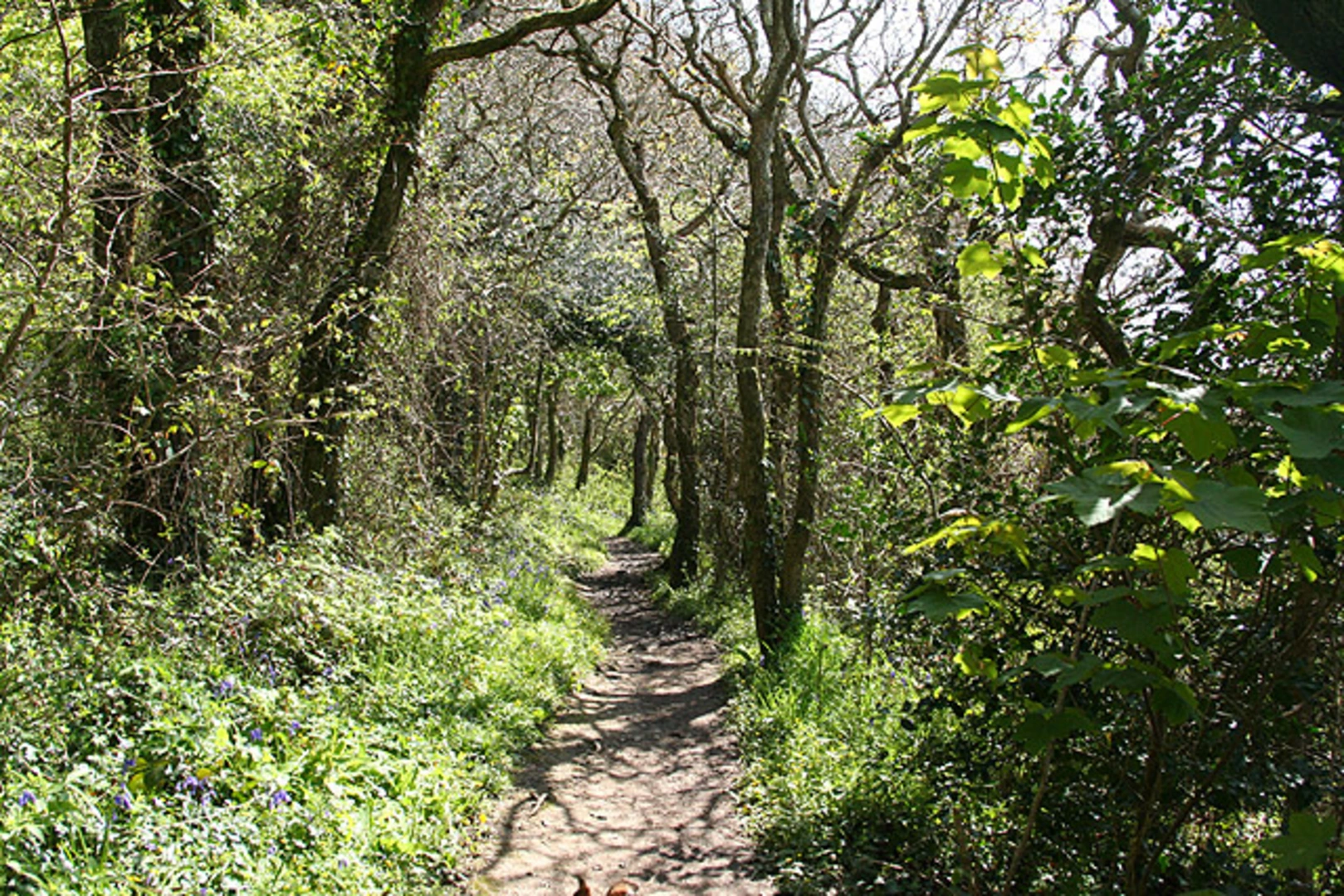 An image depicting the trail Wonwell Beach, Hoist Point and Wycombe Loop - Kingston and its surrounding area.
