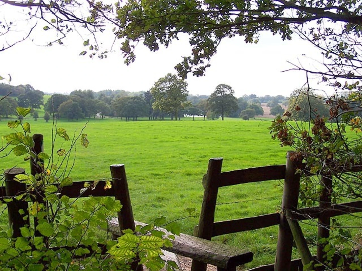 An image depicting the trail Locko Park Walk and its surrounding area.