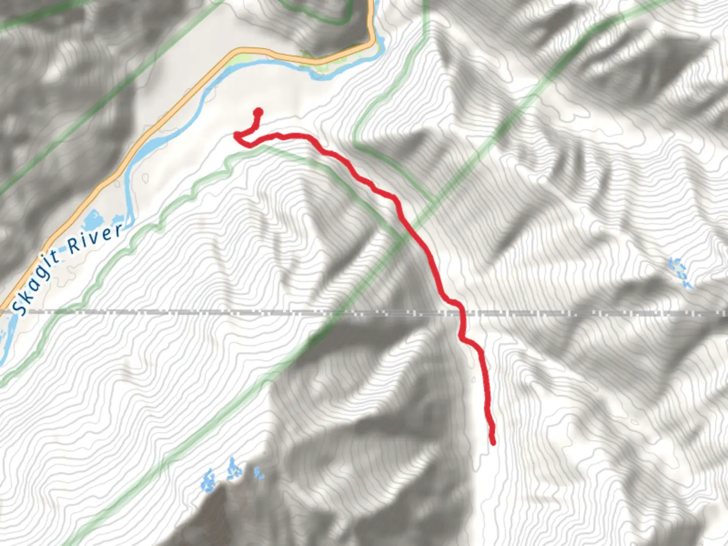 An image depicting the trail Newhalem Creek Trail and its surrounding area.