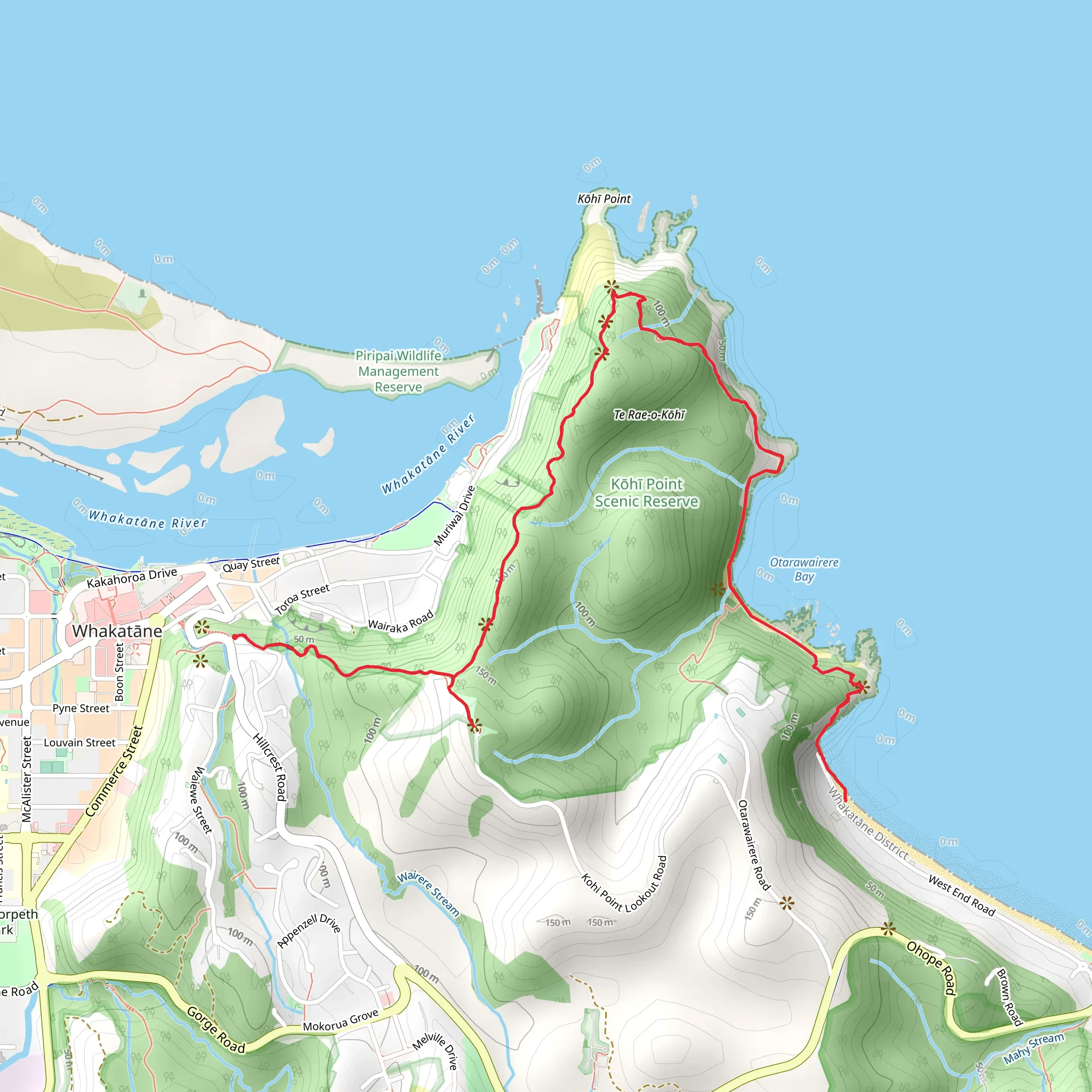 Kohi Point Walkway mobile static map