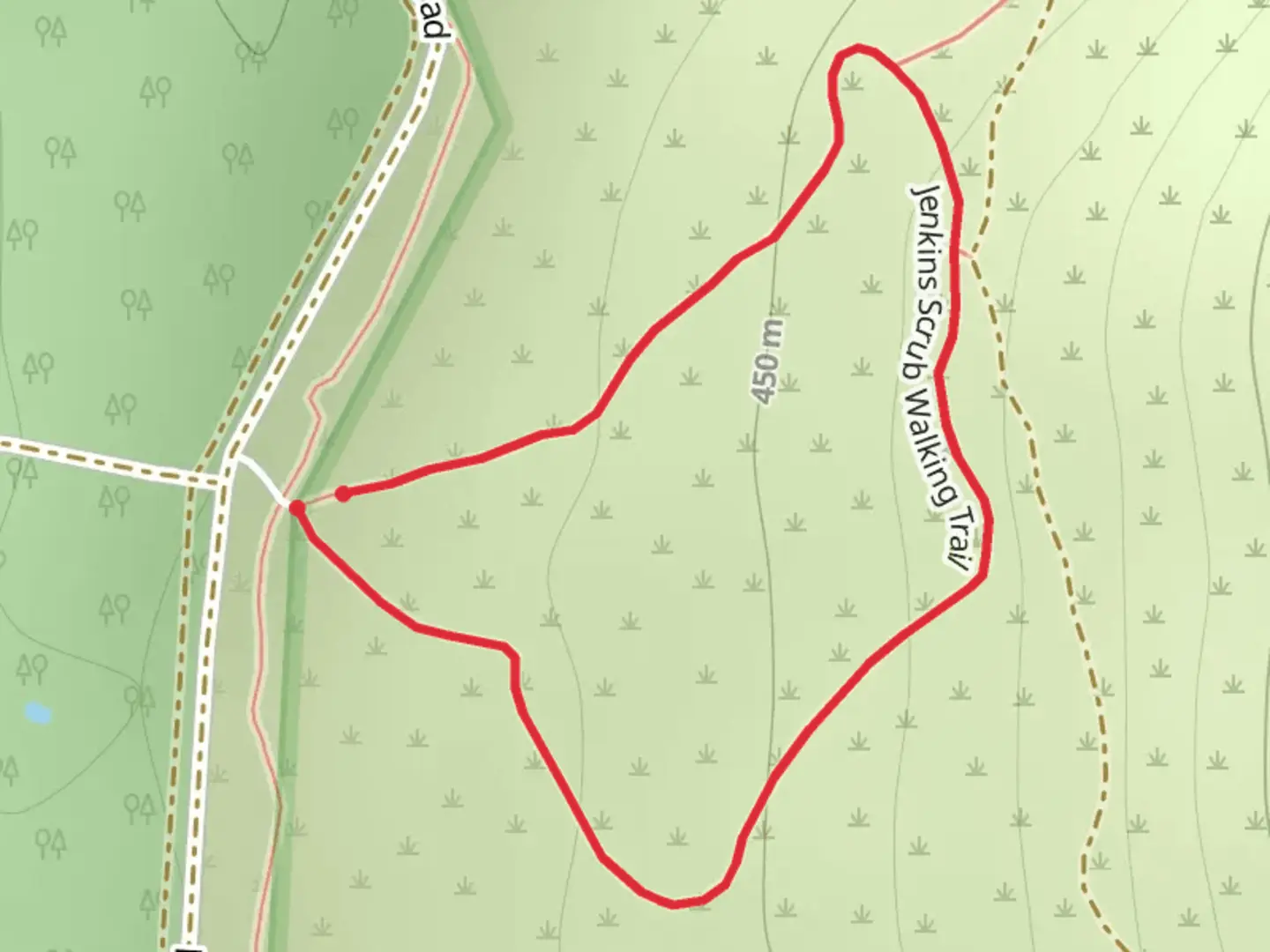 An image depicting the trail Jenkins Scrub Trail and its surrounding area.