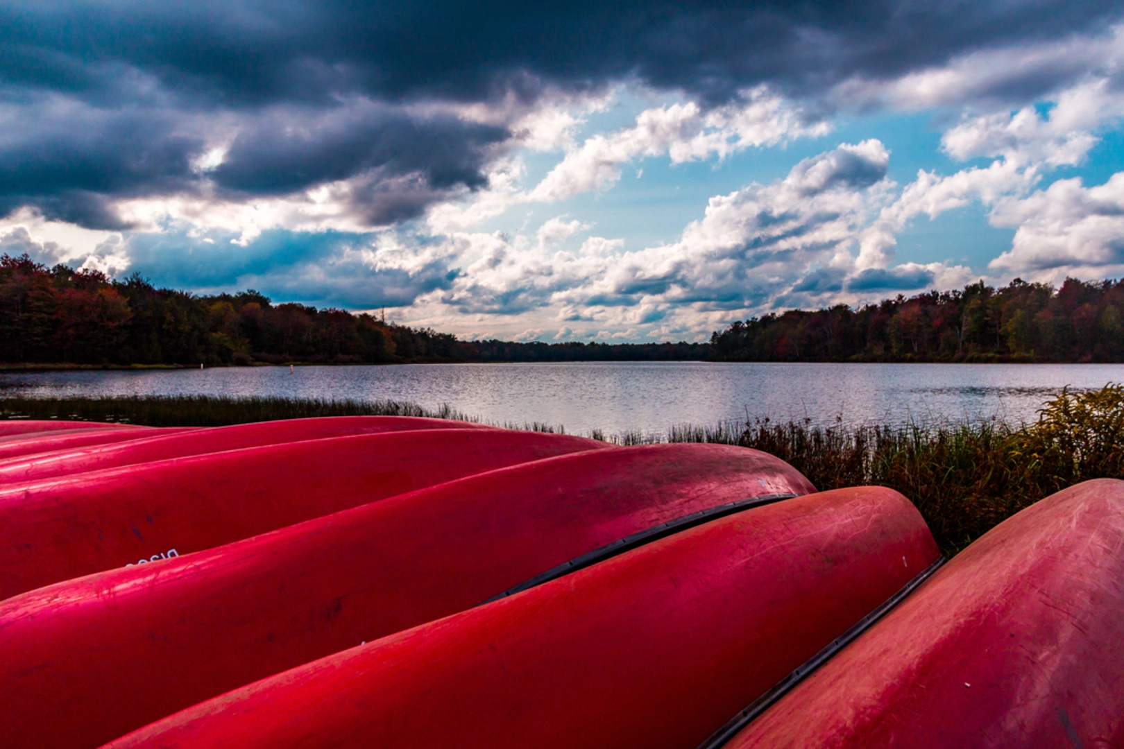 An image depicting the trail Kitchen Creek, Falls Trail and Bear Walk Trail Loop and its surrounding area.