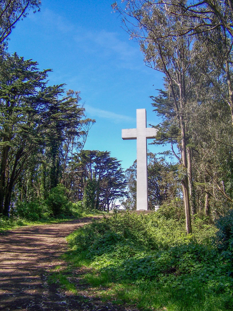 An image depicting the trail Mount Davidson Loop and its surrounding area.