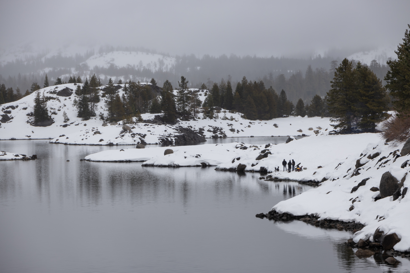An image depicting the trail Loon Lake Trail and its surrounding area.